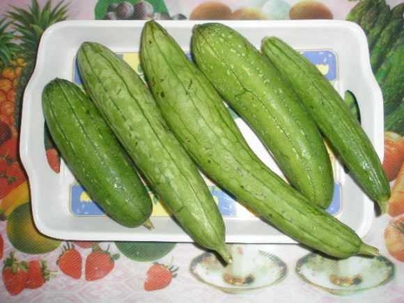 Gilki/ turai/Sponge/(Luffa gourd)