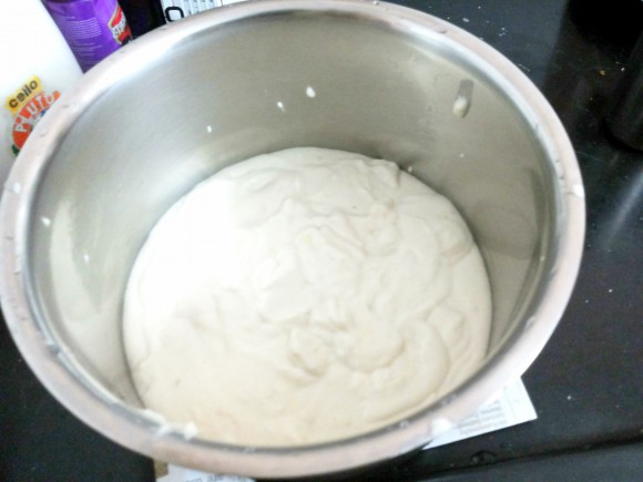 batter/fermemtated mixture