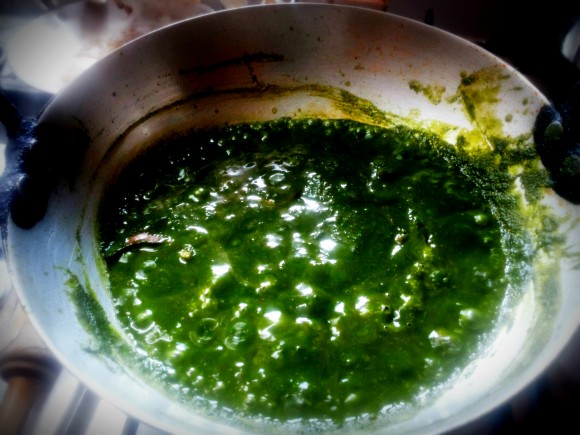 Poonnangani keerai (dwarf copper leaves) malai (fresh cream) saag