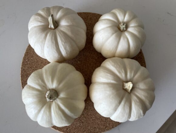  White Pumpkin/Squash 