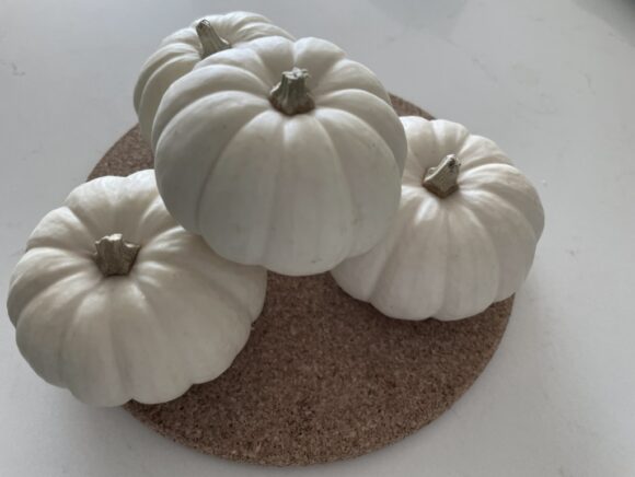  White Pumpkin/Squash 