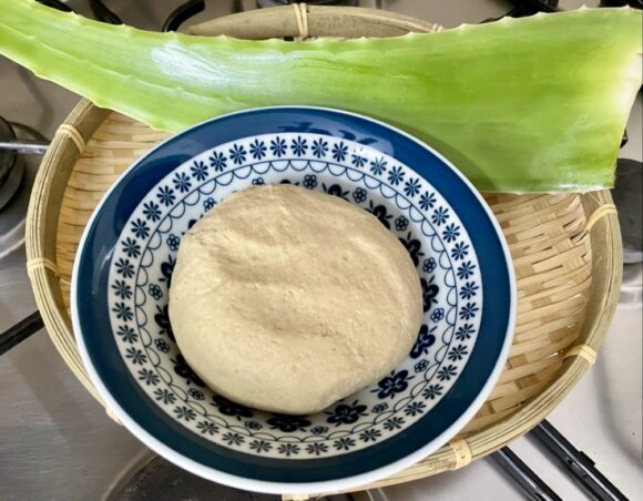 aloe vera chapati dough