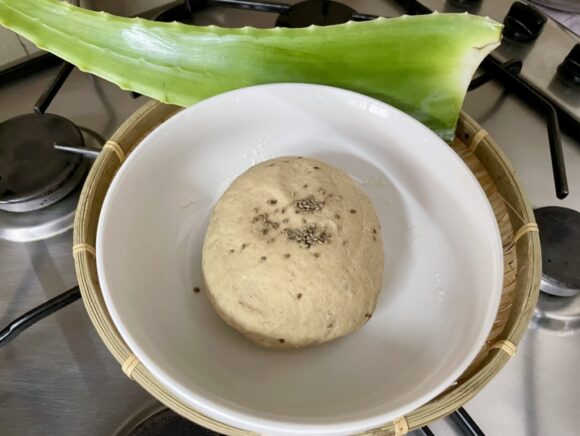 aloe vera paratha dough