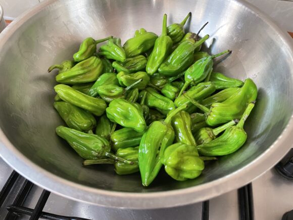 stir fry green chilli on high flame f